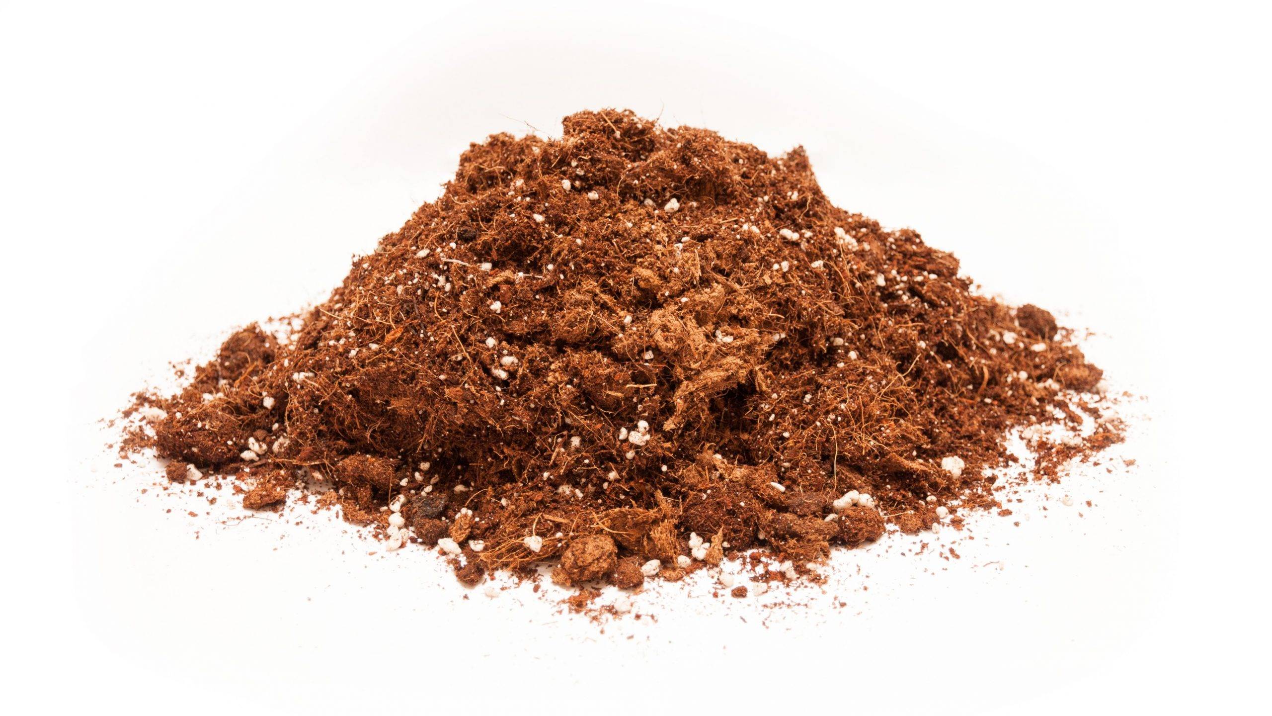 Projar-SustraberryArandano (1)|projar auditoria_almacén_Projar